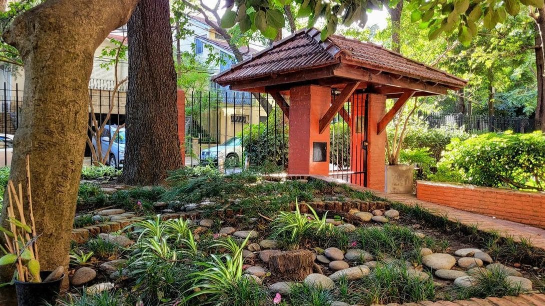 Créer un jardin structuré avec des plantations adaptées
