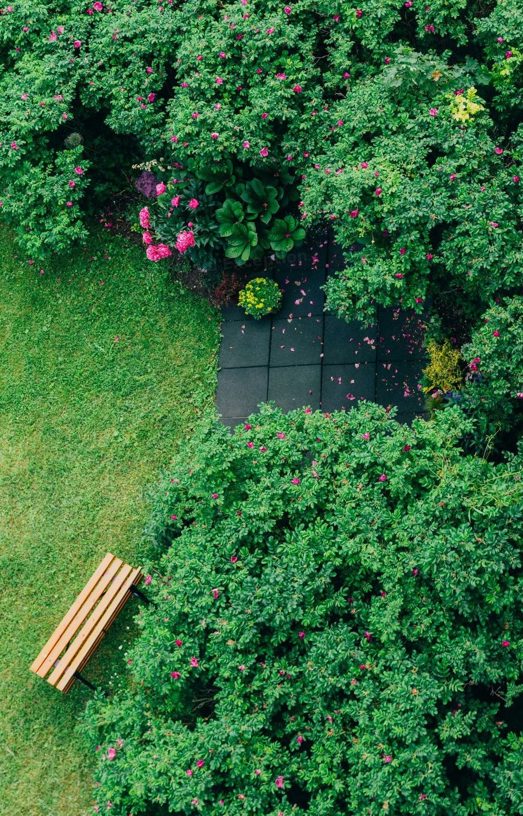 Aménagement extérieur : 5 idées pour valoriser vos espaces verts