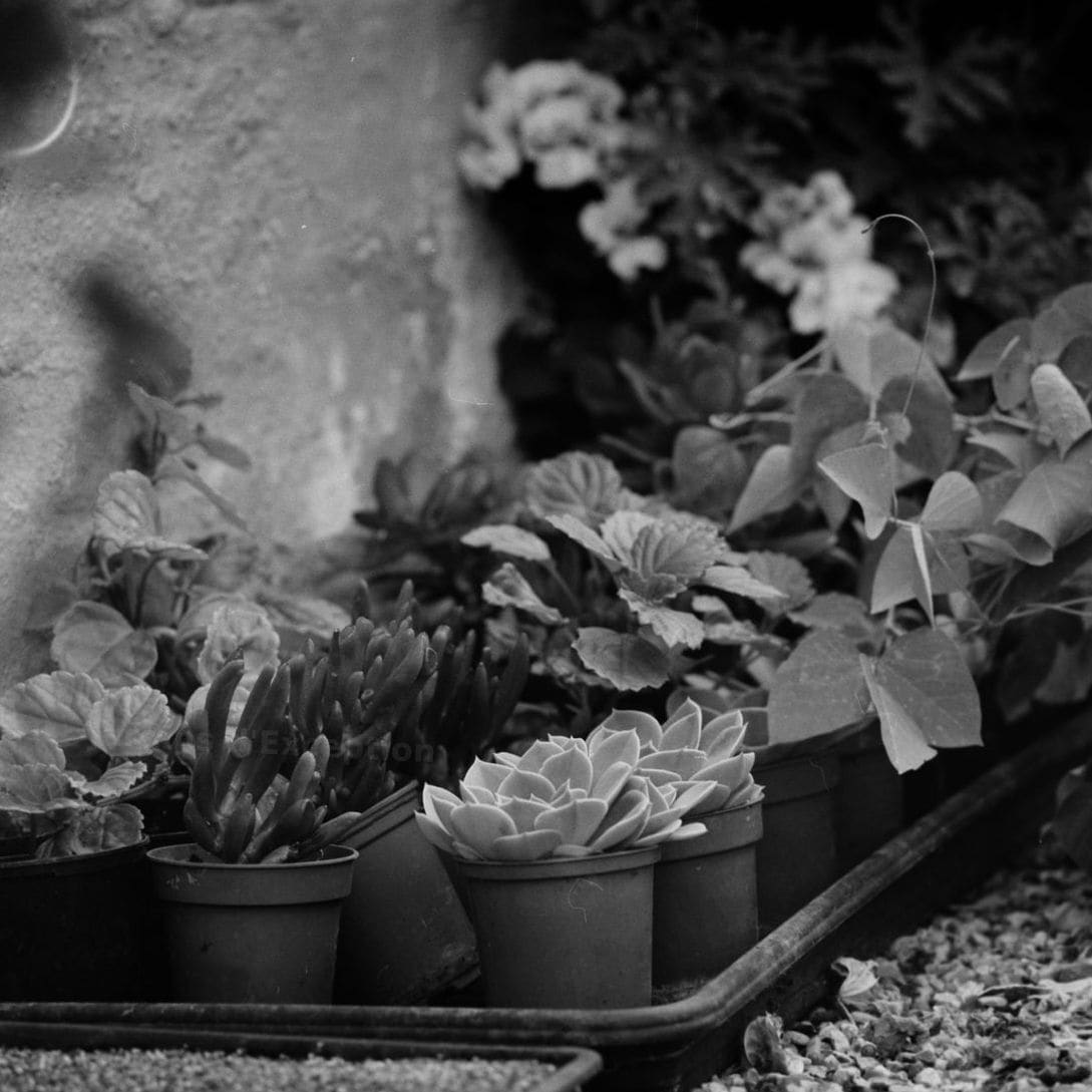 Jardins d'Exception 3