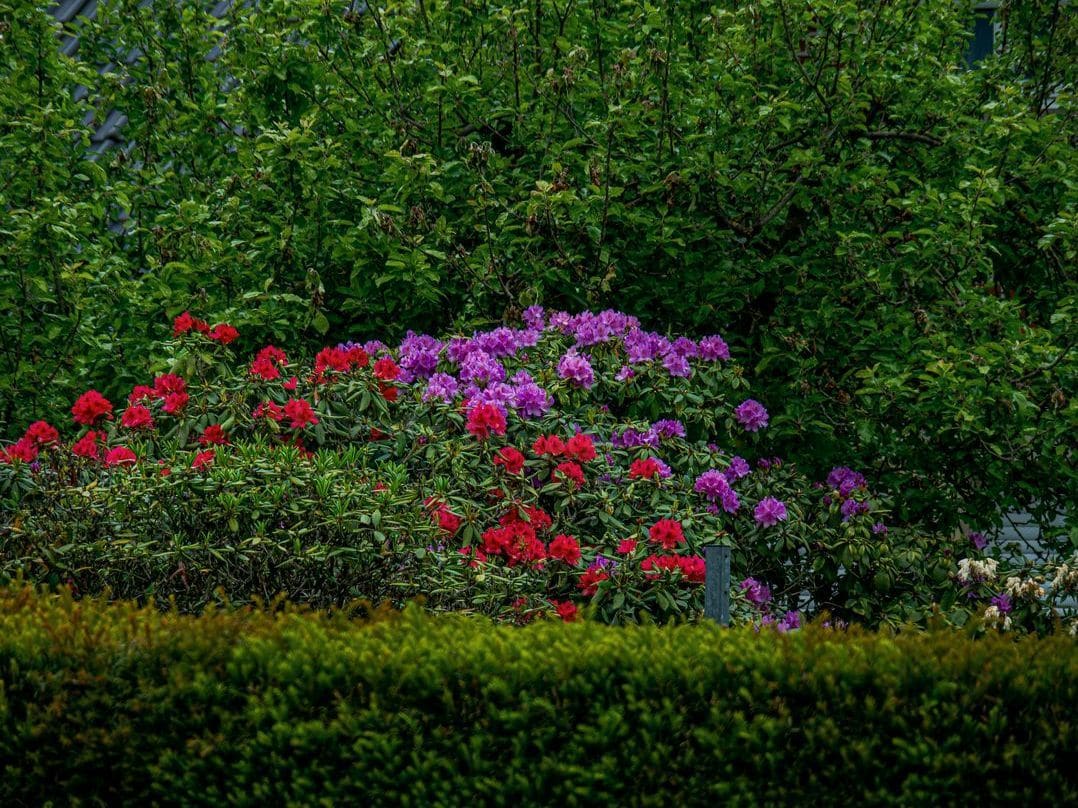 Jardins d'Exception 7